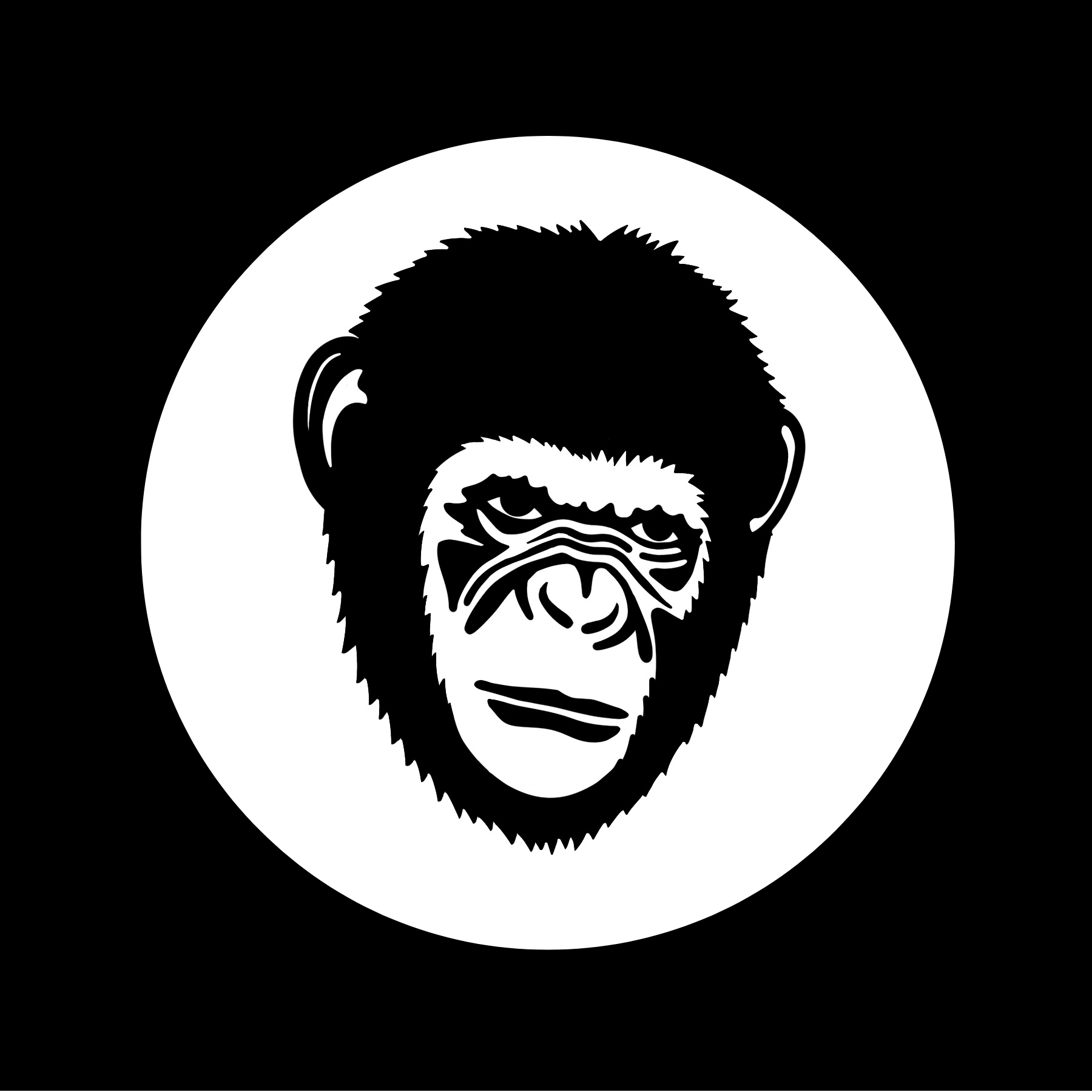 IC Apes (@ICApe_Ventures) / Twitter