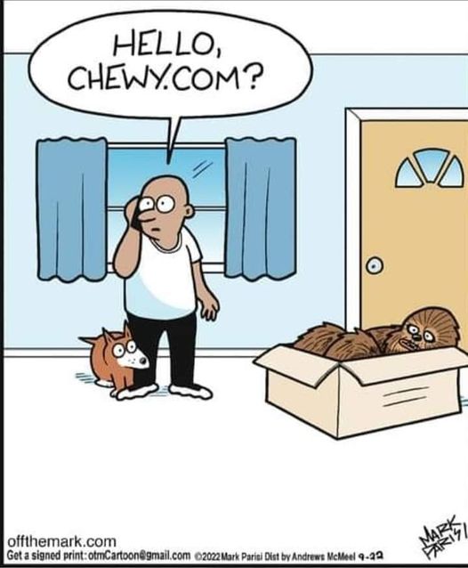 Da hat wohl jemand ein Wookie bestellt.