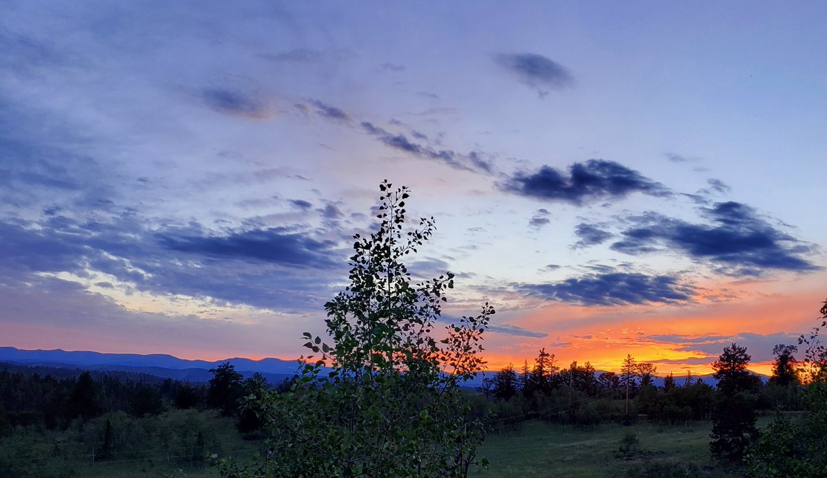 Ssshhh, crazy world. There's a show on. 😀