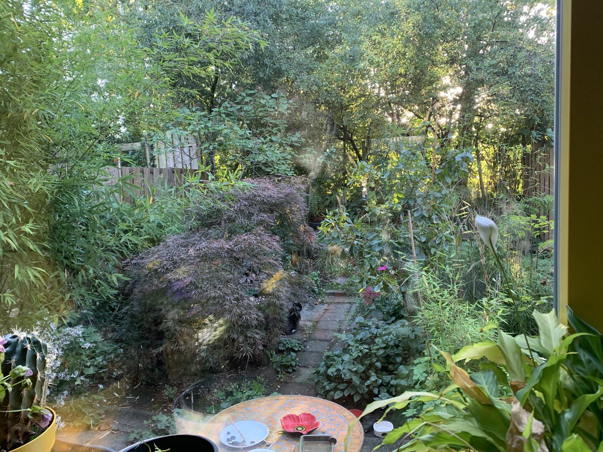 Uitzicht vanaf de ontbijttafel vanmorgen.