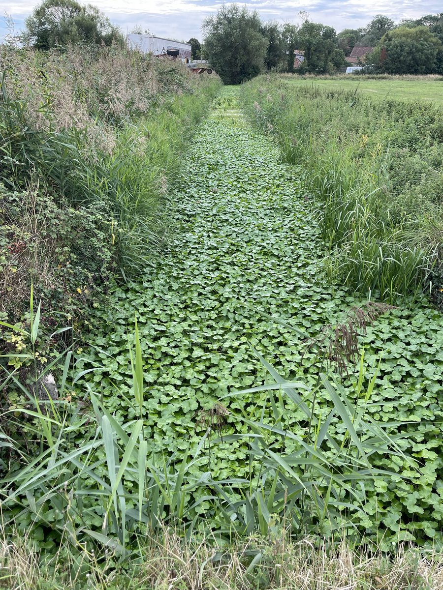 Phil Brewin tweet media