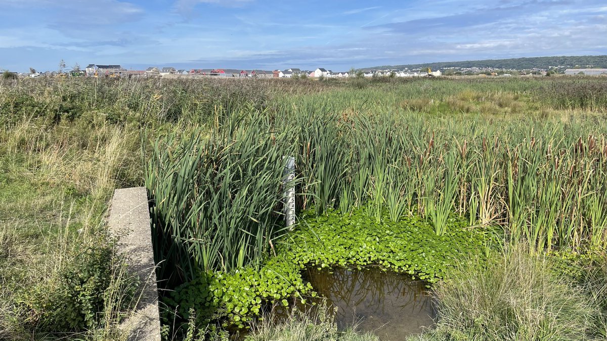 Phil Brewin tweet media