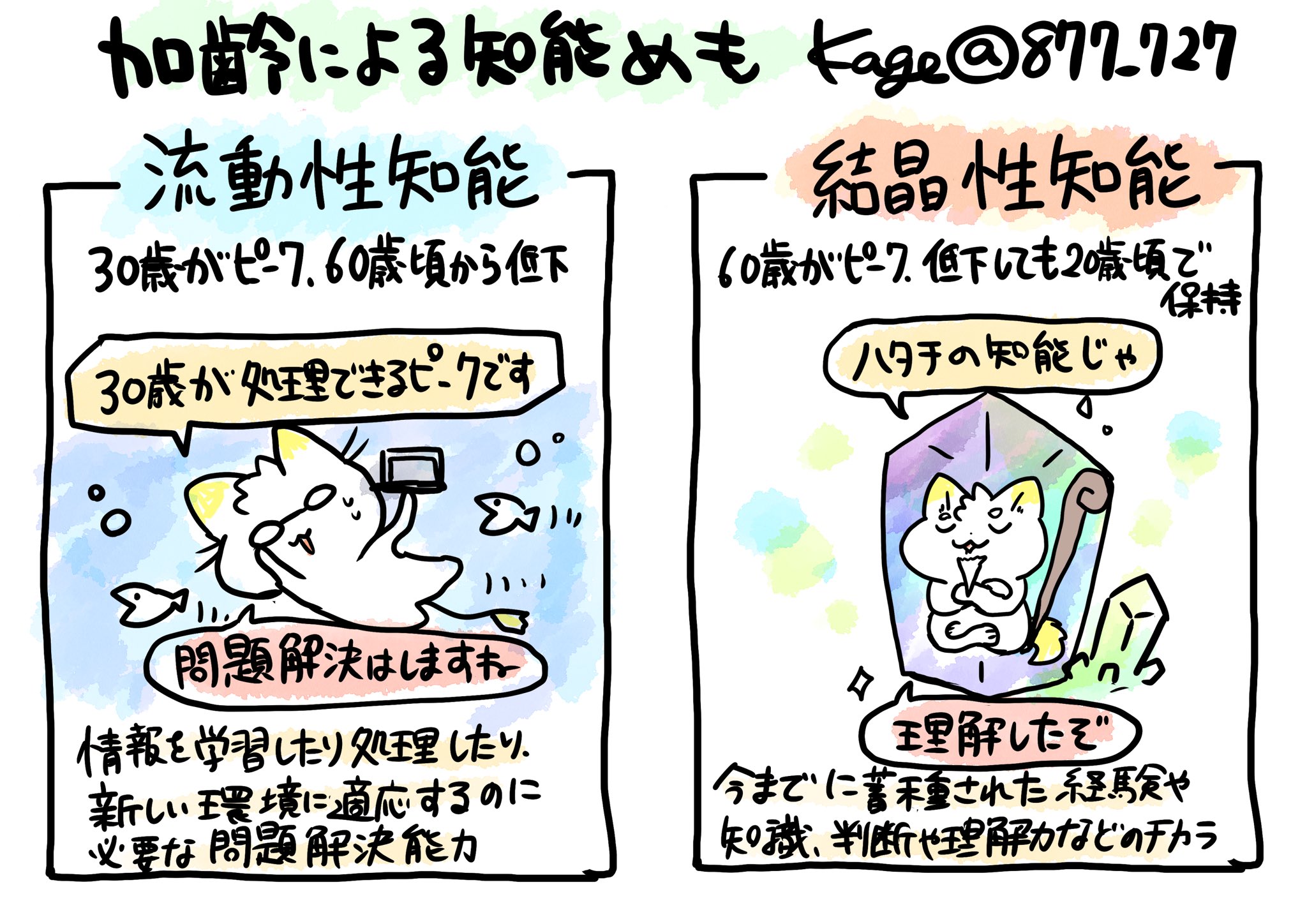 流動 性 知能 と は