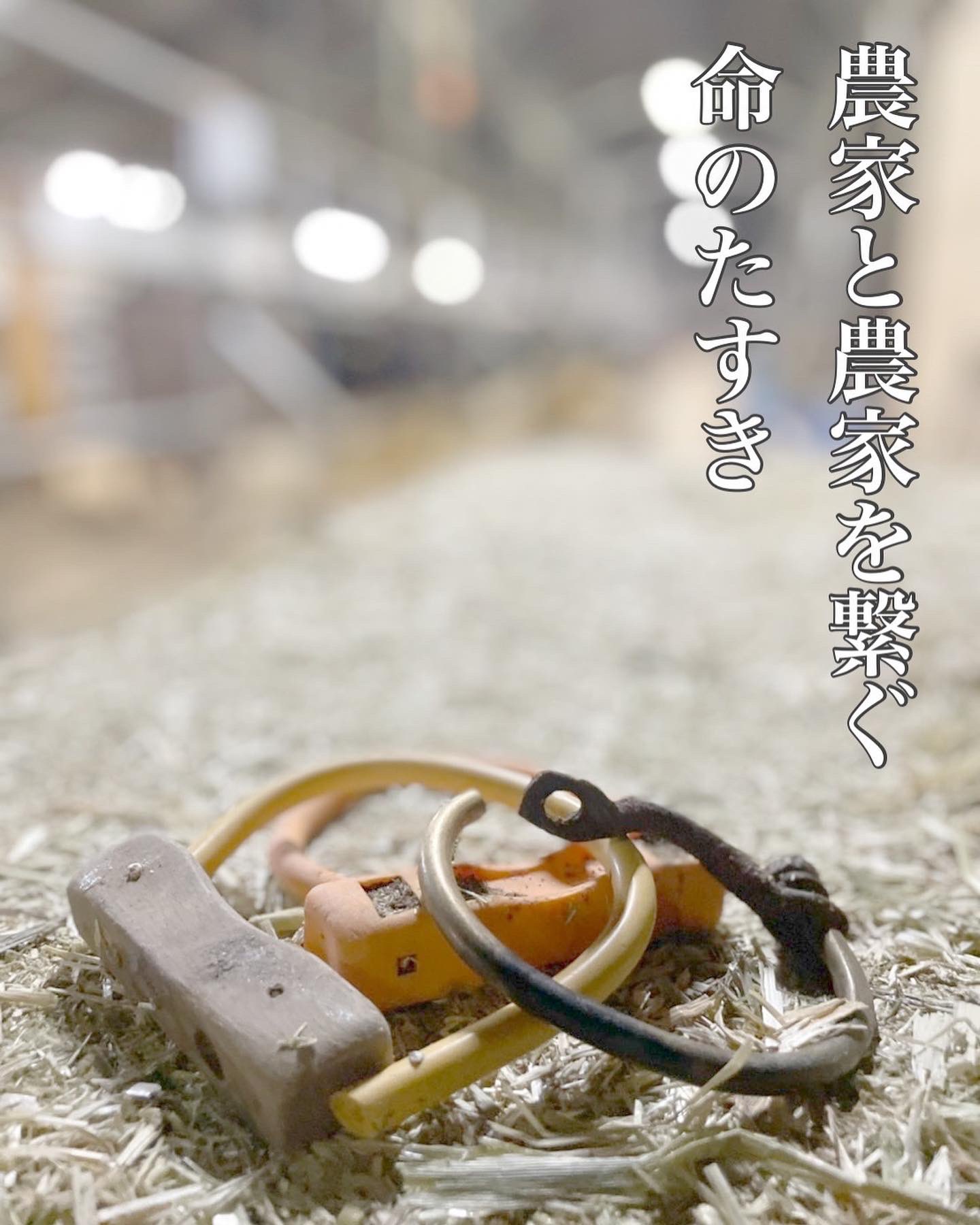 熟豊ファーム Jukuho Farm Twitter