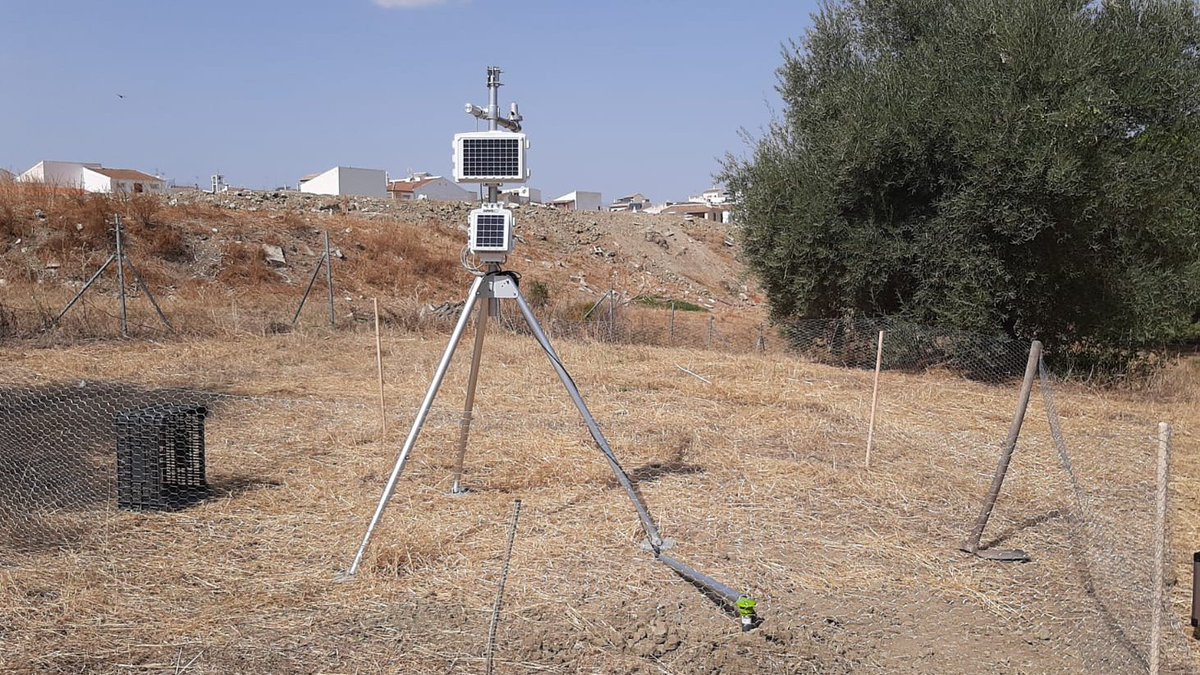 GEML_UMA's tweet photo. What materials and methods don't show: testing new light and soil moisture sensors in the garden (with dog-proof fence included!)🐶
Lo que no se ve en material y métodos: prueba de nuevos sensores de luz y humedad del suelo en el jardín (¡con valla a prueba de perros incluida!)🐶 https://t.co/iRRQWhlrPV