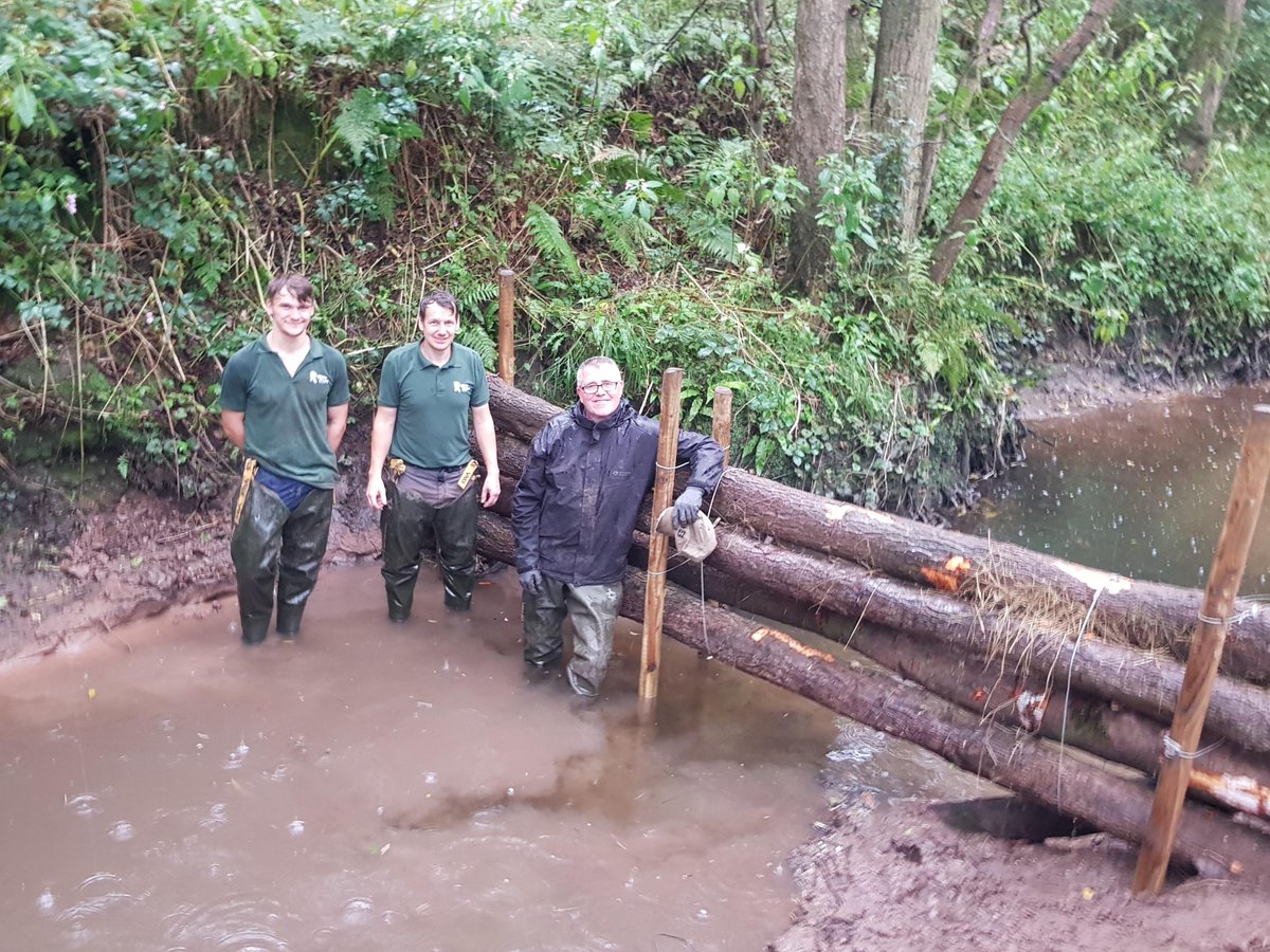 RibbleTrust's tweet image. We've installed some new leaky dams at @PrestonGolfClub.

They're made of natural woody material &amp;amp; are great at slowing water during heavy rain.

Thanks to yesterday's rain, we know they're working. The dam is just about visible in the 2nd picture!

@Jonnyroberts99