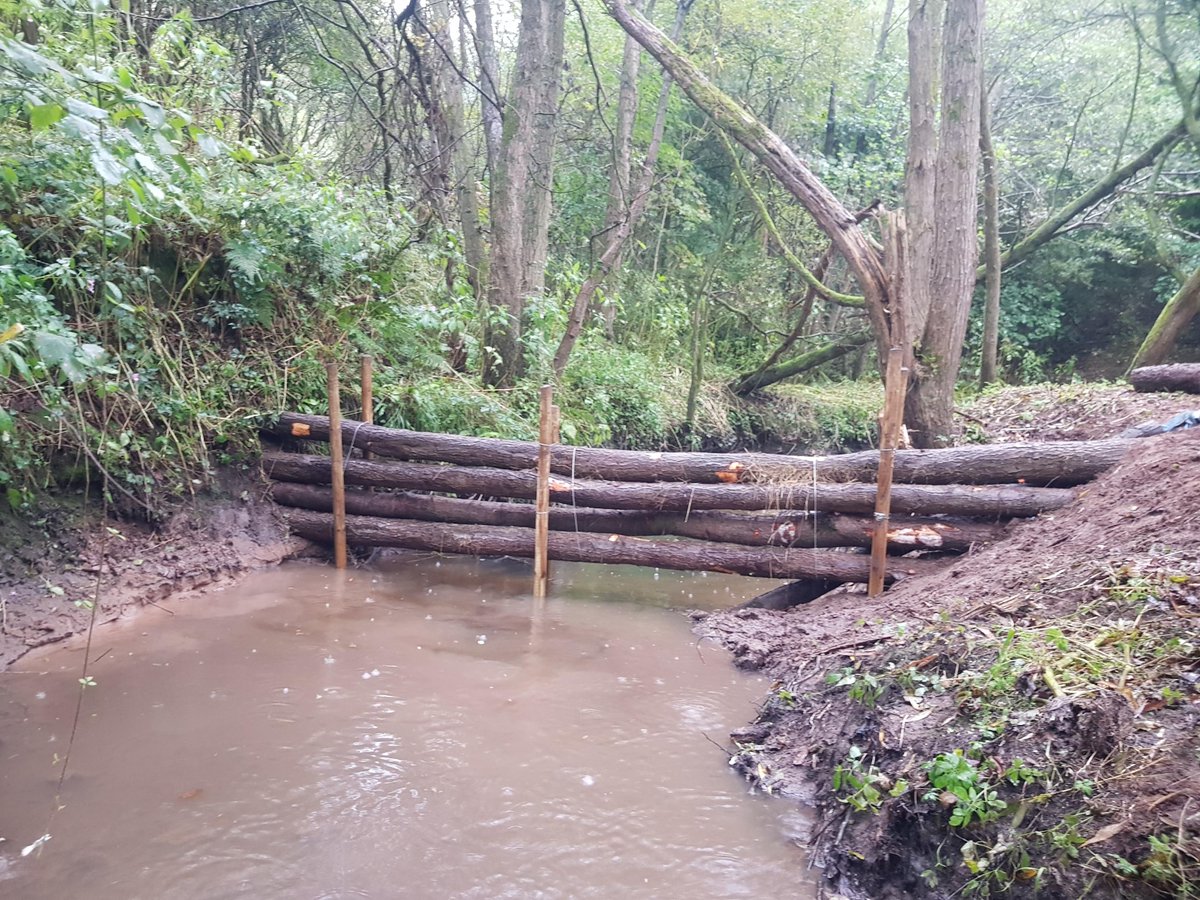 RibbleTrust's tweet image. We've installed some new leaky dams at @PrestonGolfClub.

They're made of natural woody material &amp;amp; are great at slowing water during heavy rain.

Thanks to yesterday's rain, we know they're working. The dam is just about visible in the 2nd picture!

@Jonnyroberts99