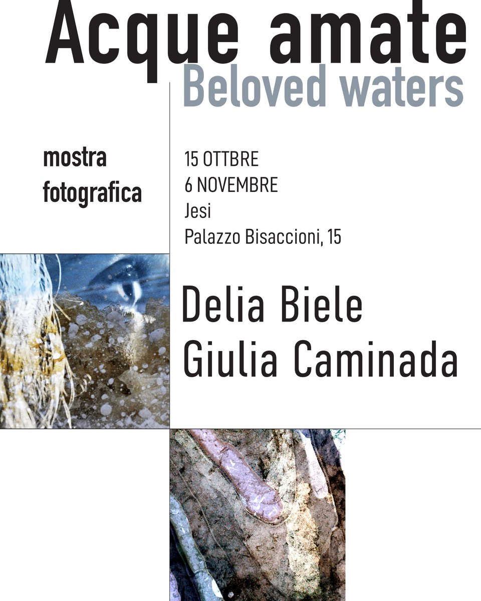 È davvero un onore essere ospitati nelle sale museali del palazzo Bisaccioni di Jesi con il progetto di fotografia e di poesia "Acque amate". Grazie!
<a href="/deliabiele/">Delia Biele</a> <a href="/giovanni_gastel/">Giovanni Gastel</a>
<a href="/enzocarli/">Enzo Carli</a> <a href="/DaciaMaraini/">Dacia Maraini</a>
#acqueamate