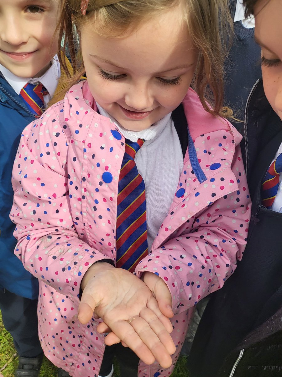 Miss Walker tweet media