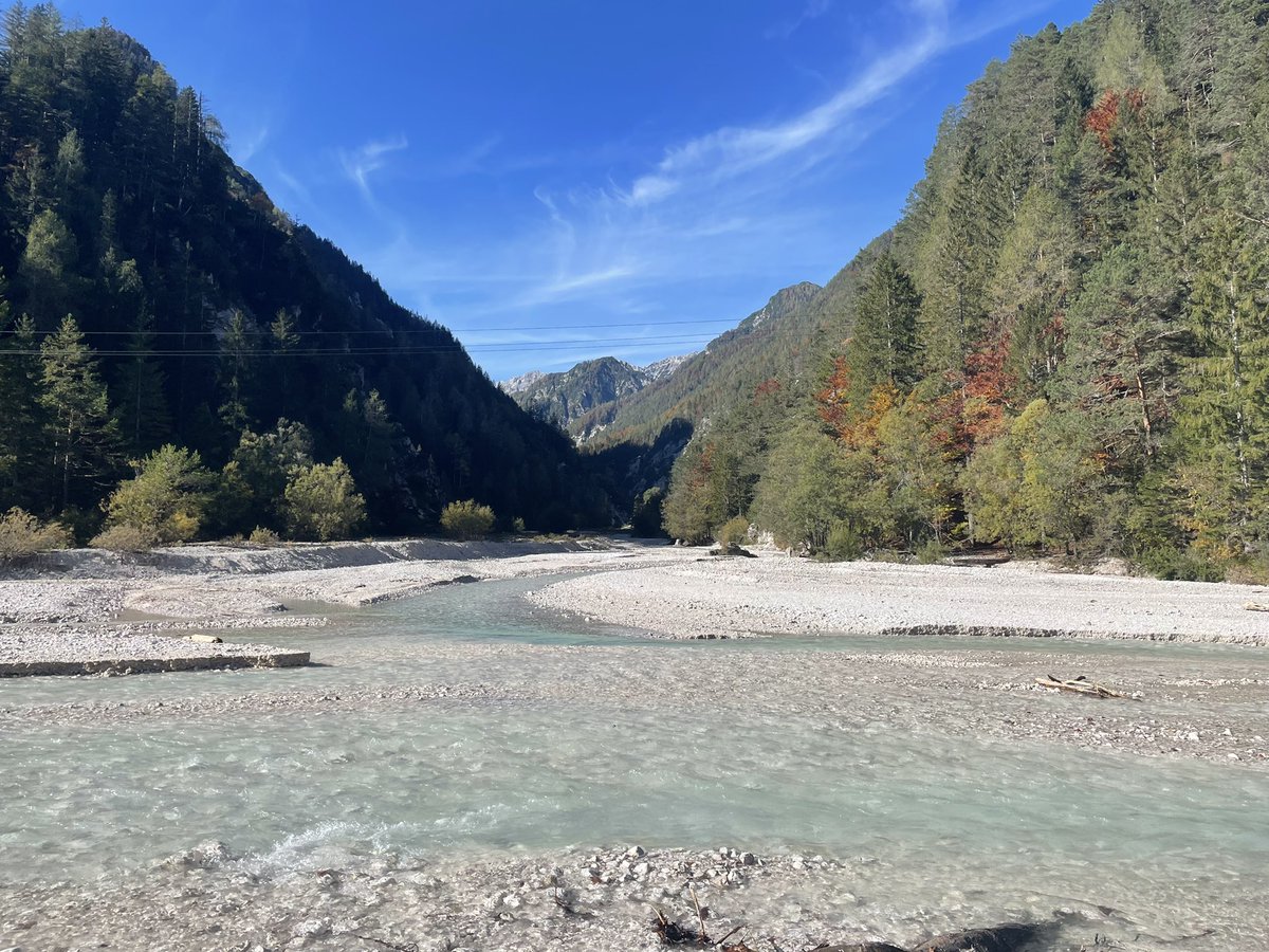 WARENE🌊 tweet media