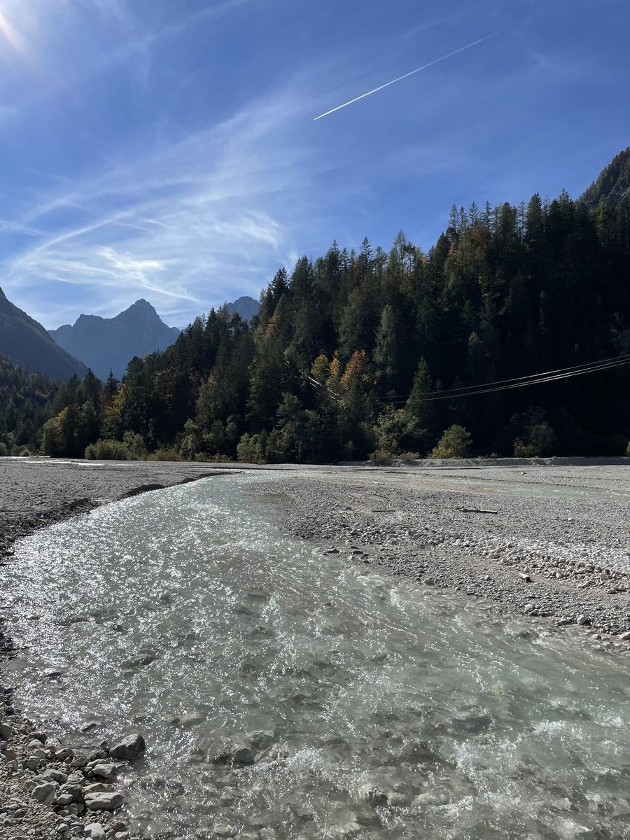 WARENE🌊 tweet media