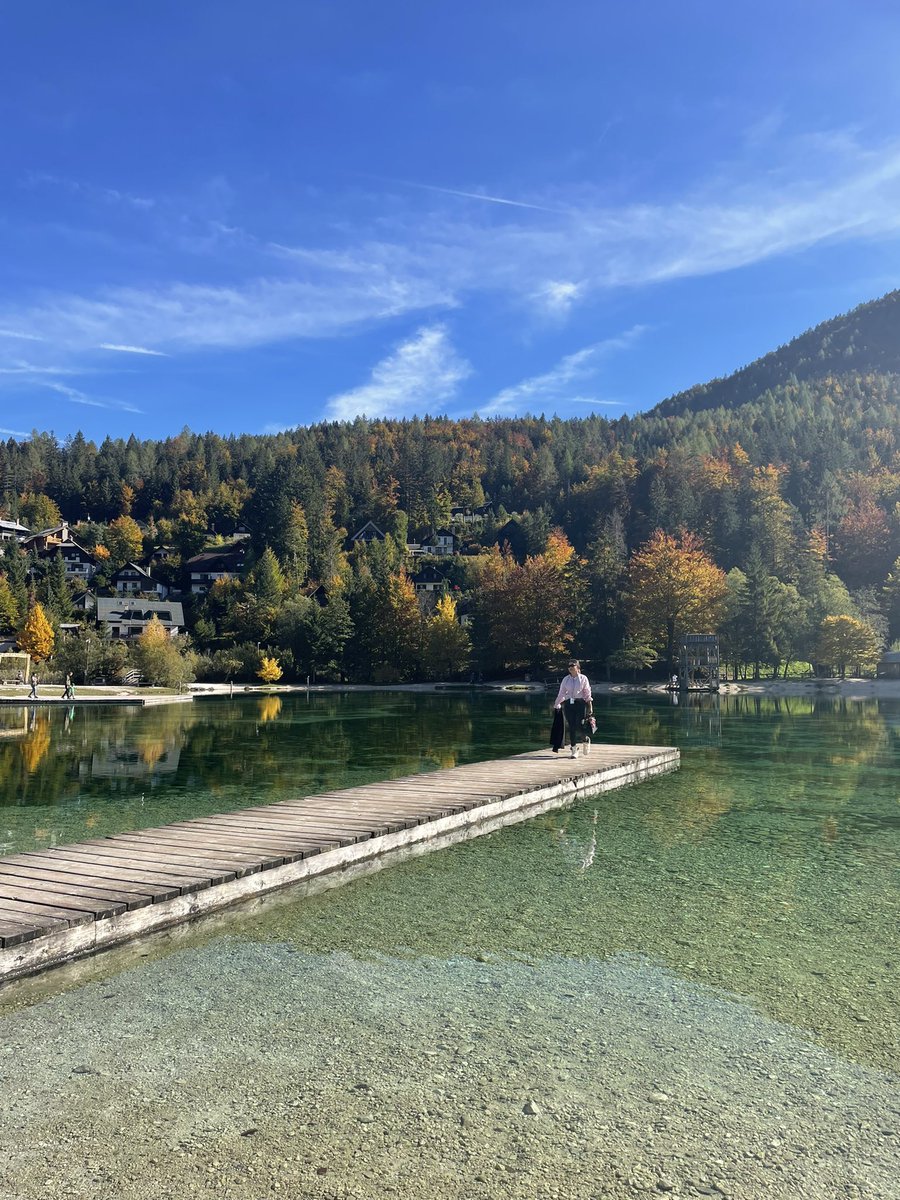 WARENE🌊 tweet media