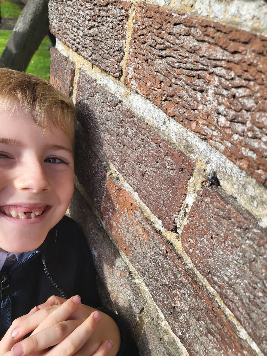 Miss Walker tweet media