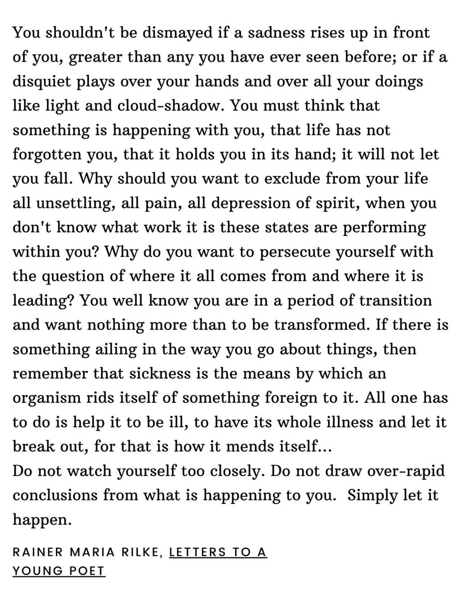 𝐙𝐈𝐆𝐆𝐄𝐓𝐀𝐈 (@ziggetai) on Twitter photo 