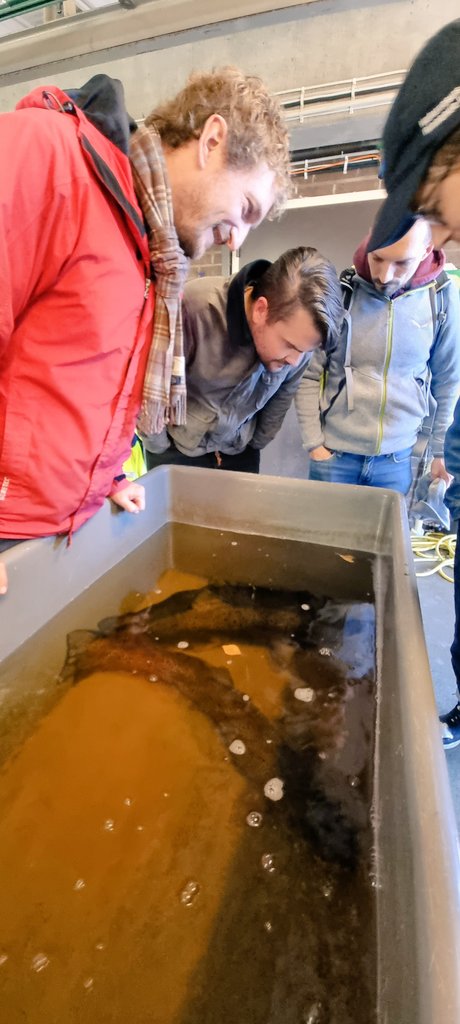 We are getting to see some passage solutions and ofcourse the lovely fish depending on it at the 5th <a href="/MSCA_RIBES/">RIBES</a> Network School hosted by <a href="/RivEM_Karlstad/">RivEM KarlstadUni</a>
#trout #salmon
