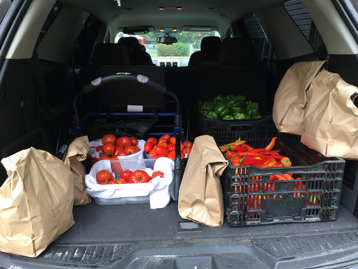 TakeActionGroup's tweet image. Another Amazing Harvest providing the Foodbank and Numerous Families with Fresh Veggies!