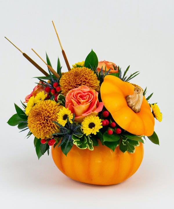 radebaughs's tweet photo. Our Pick of the Patch is a beautiful touch of fall for any occasion! Feature flowers include #sunflowers, #disbuds, orange #roses, #thistle and #HypericumBerries.
#fallflowers #celebratefall #falldecor #radebaugh #greenhouses #pumpkins #giftsoftheseason https://t.co/uIx767rtAX https://t.co/57WJnuvip6