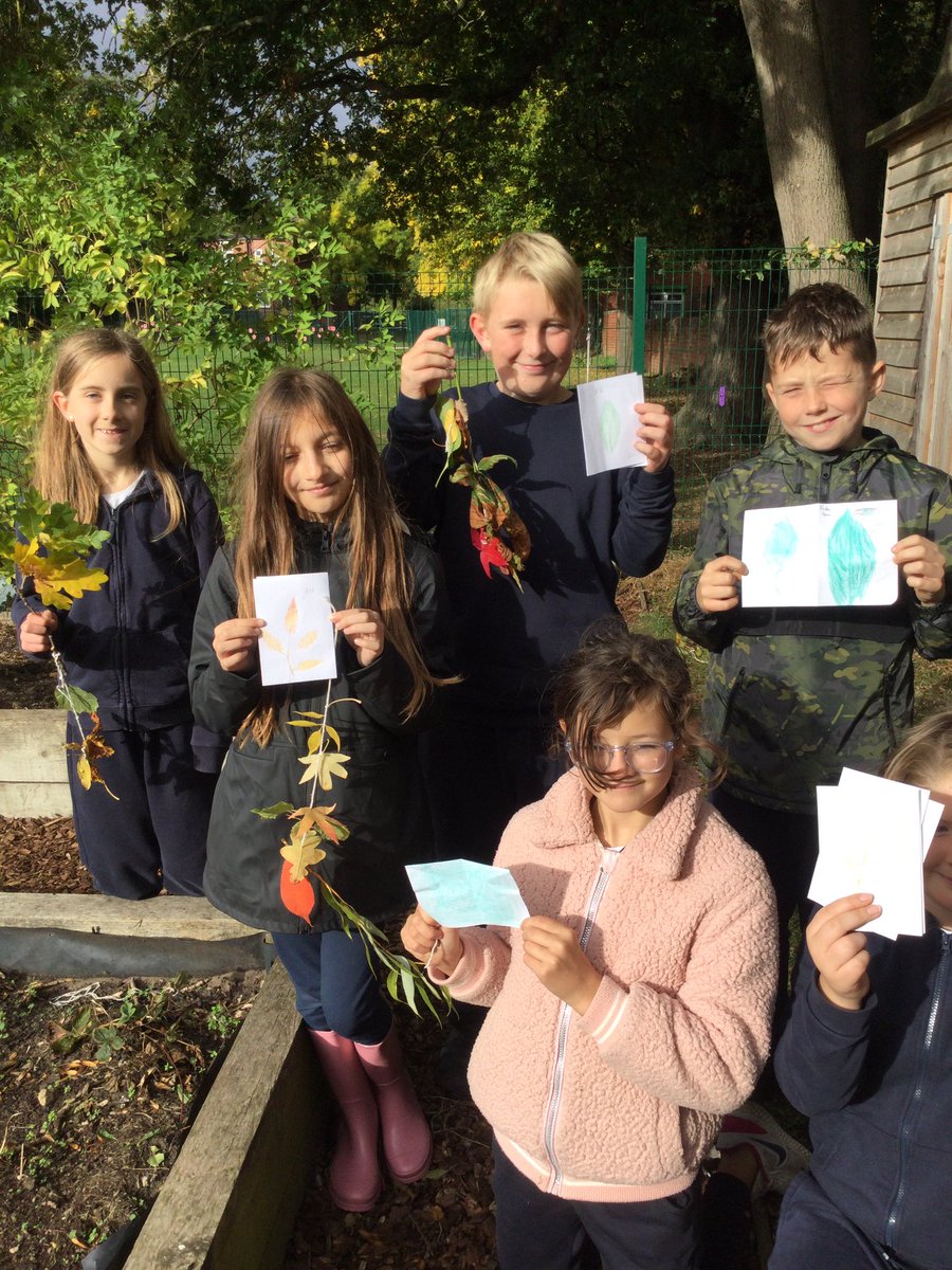 Class 6 have risen to the challenge set by @cmcollins_hort of learning to identify 10 trees. Thanks again for the inspiration Chris