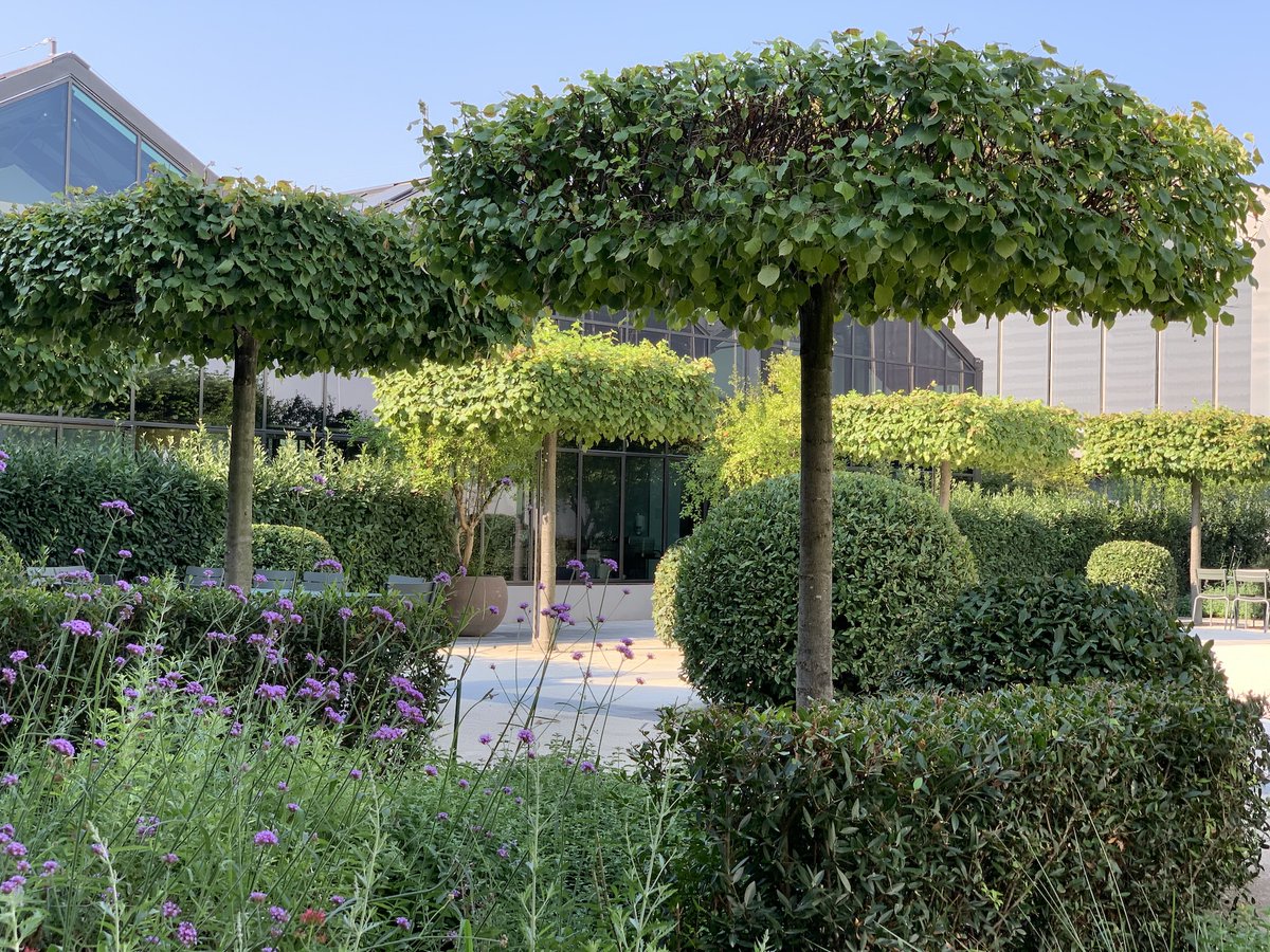We compiled some of the best garden design ideas from the winning gardens in this year's Society of Garden Designers Awards, from Prairie Planting to Parasol Trees.  Find out more on <a href="/TEGmagazine/">The English Garden</a>. Garden by @Tommasodb, winner of the Grand Award 2022