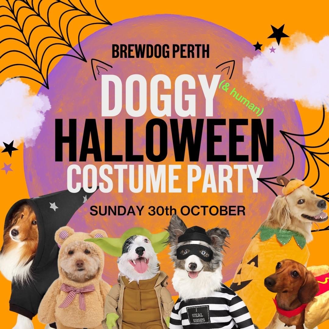 BrewDogBarPerth's tweet photo. October 30 is the day of our Doggo Halloween dress-up! With goody-bags & prizes to be won, we’re sure it’ll be a treat for your favourite pet!
#brewdog #halloweenparty #brewdognow #pawparty #brewdogperth https://t.co/Sd3BB77VEu