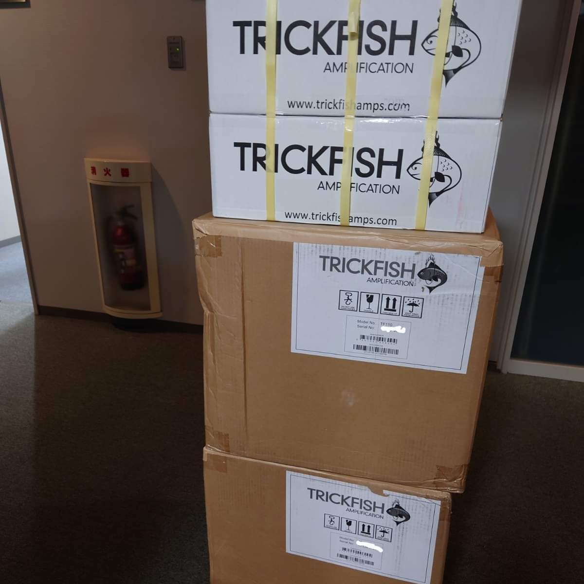 ties__store's tweet image. 在庫切れのBH1K,.5K,TF110など入荷しております！

10月から国内代理店がインナーウッドさんからベンコーポレーションさんへ。

タイズストアは引き続きTrickfishを積極的にサポート！

安心してご利用ください

ties.jp/store/news/tri…

#tiesstore #trickfish #FlexCore 
#trickfishamps
#bullhead