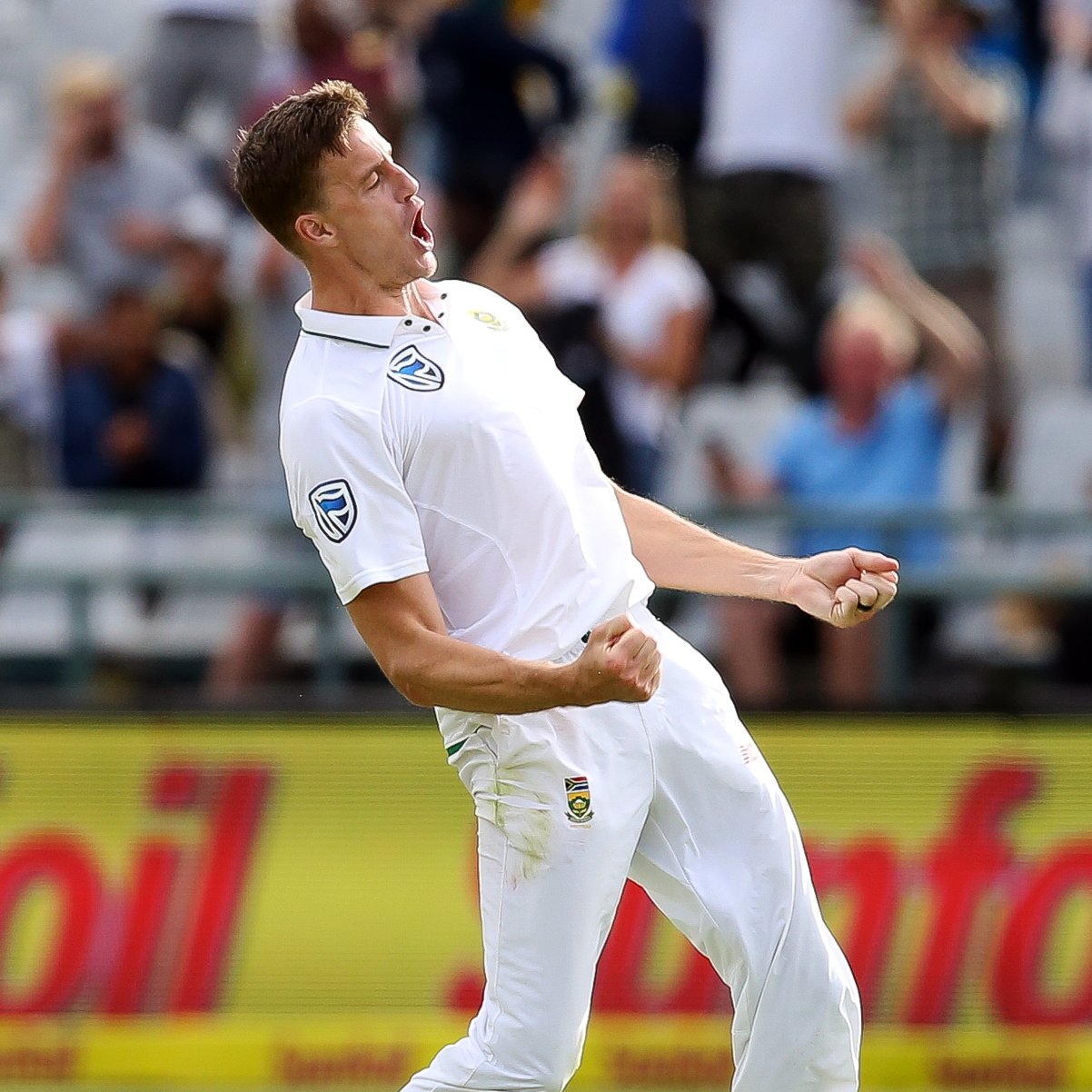 2 4 7 international matches
3 0 9 Test wickets
1 8 8 ODI wickets
4 7 T20I wickets

Happy Birthday Morne Morkel 