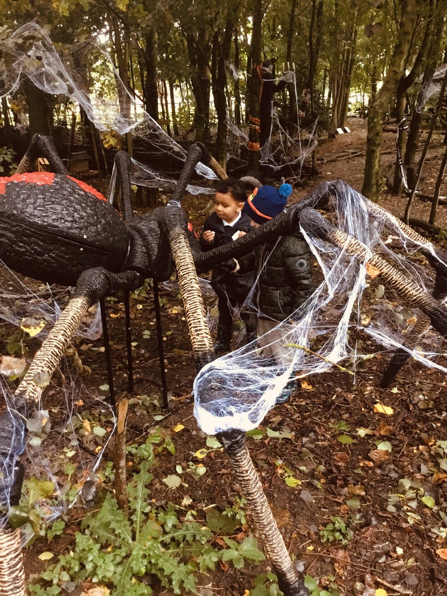 MossParkPrimary's tweet photo. Fun in the forest, @CAFTcharity have some amazing spooky decorations ⚰️🕸🕷🦇👻 #Halloween #spooky #scaredofspiders https://t.co/OxeRet5v8m