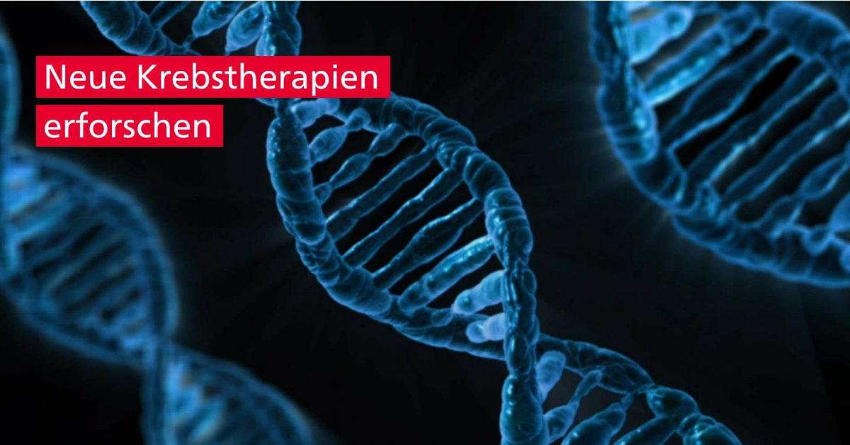 Universität Bern tweet media