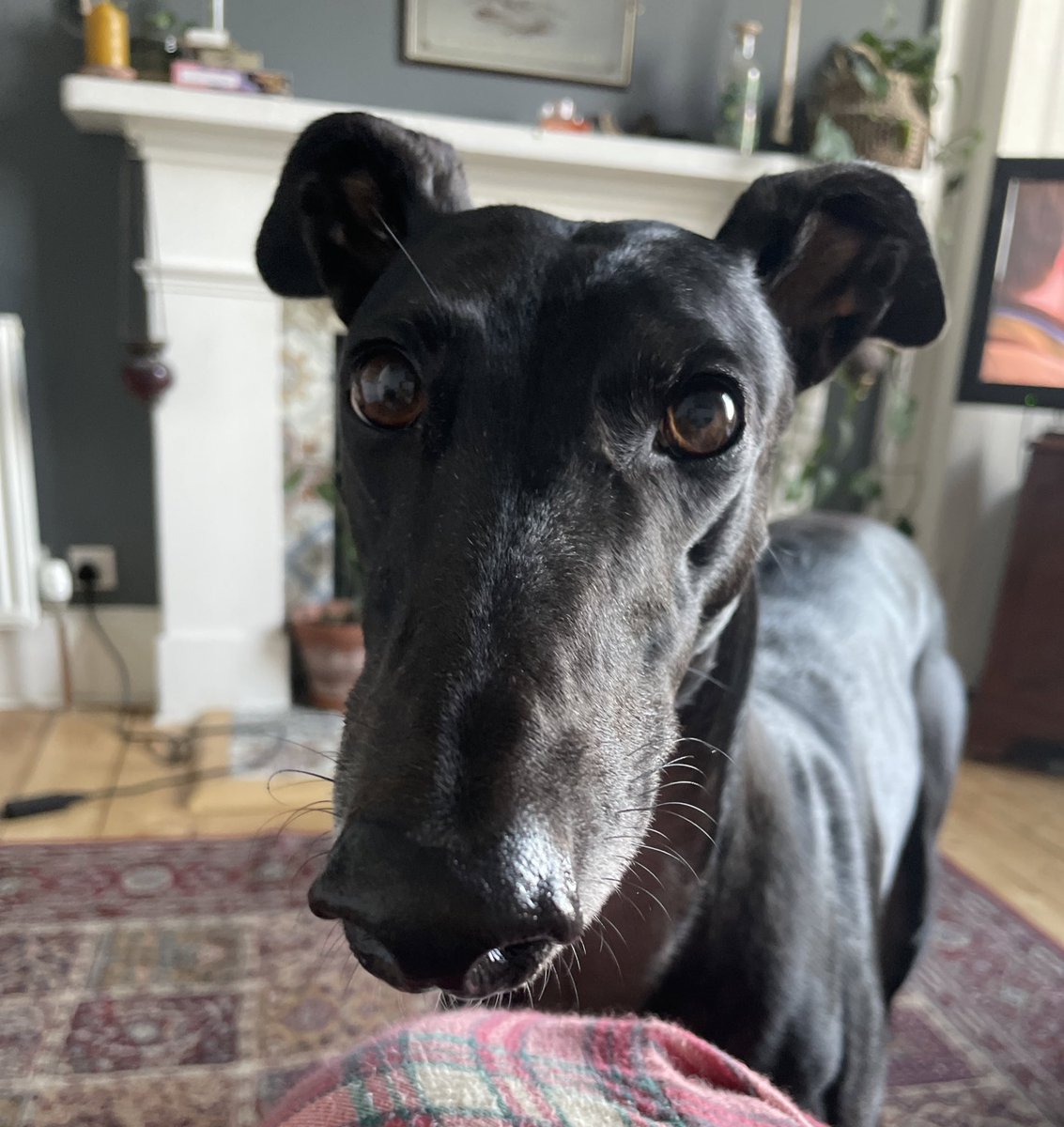 Georgia Ramplin tweet media