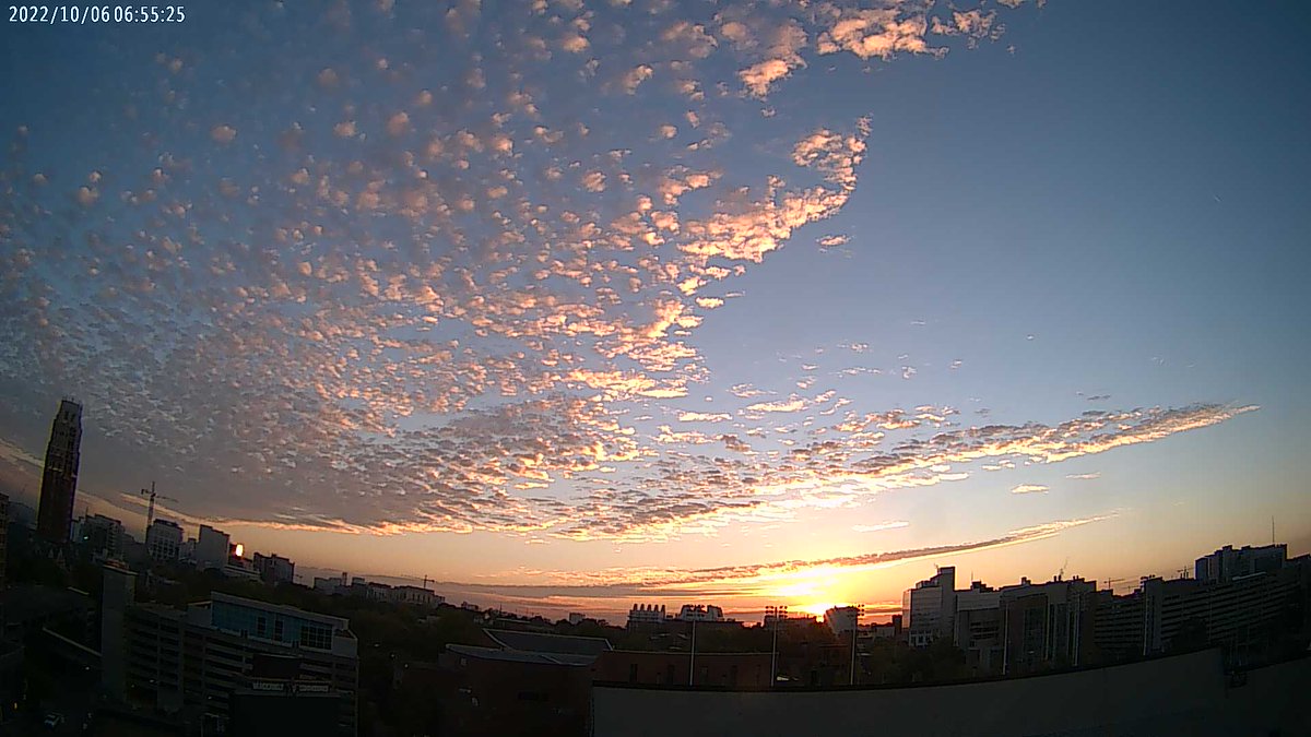 VUWxSTEM's tweet photo. Vanderbilt University at sunrise and it's 52.2 F. https://t.co/o9OfdfqQhH