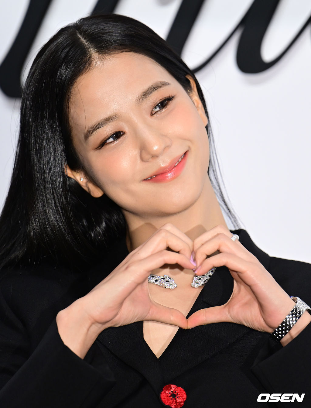 Did Cartier Double Door's Offer to Retain Jisoo as Face of Brand?