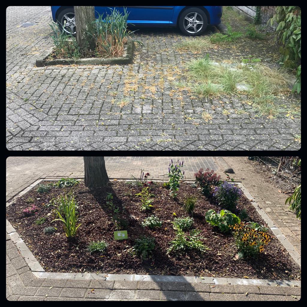 VeldMarieke's tweet photo. @wspzwollezuid Voor en na !
https://t.co/lfavlTZwbS https://t.co/IMpN9dNosk