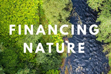 kimfriedmans's tweet photo. #5 Link Business &amp; Biodiversity more Effectively

The @UNBiodiversity Global Biodiversity Framework at #COP15 needs a whole new level of funding and capacity

Build connections with business for collecting &amp; distributing resources
https://t.co/NyOl3tHYUT
🧵7/8 https://t.co/HWW7l7ubgN