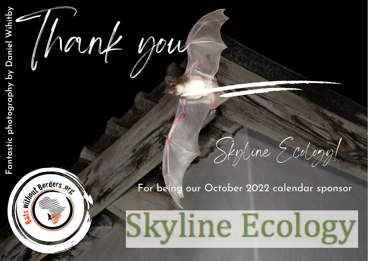 bats_w_borders's tweet photo. Today is #ThankYouThursday! π¦
We'd like to say a massive thank you to @Skylineecology for sponsoring our 2022 calendar!
More info: https://t.co/71tJqurzHN
#bats #bat #Africa #southernAfrica #southernAfricanBats #AfricanBats #BatConservation https://t.co/IE9MPIhex2