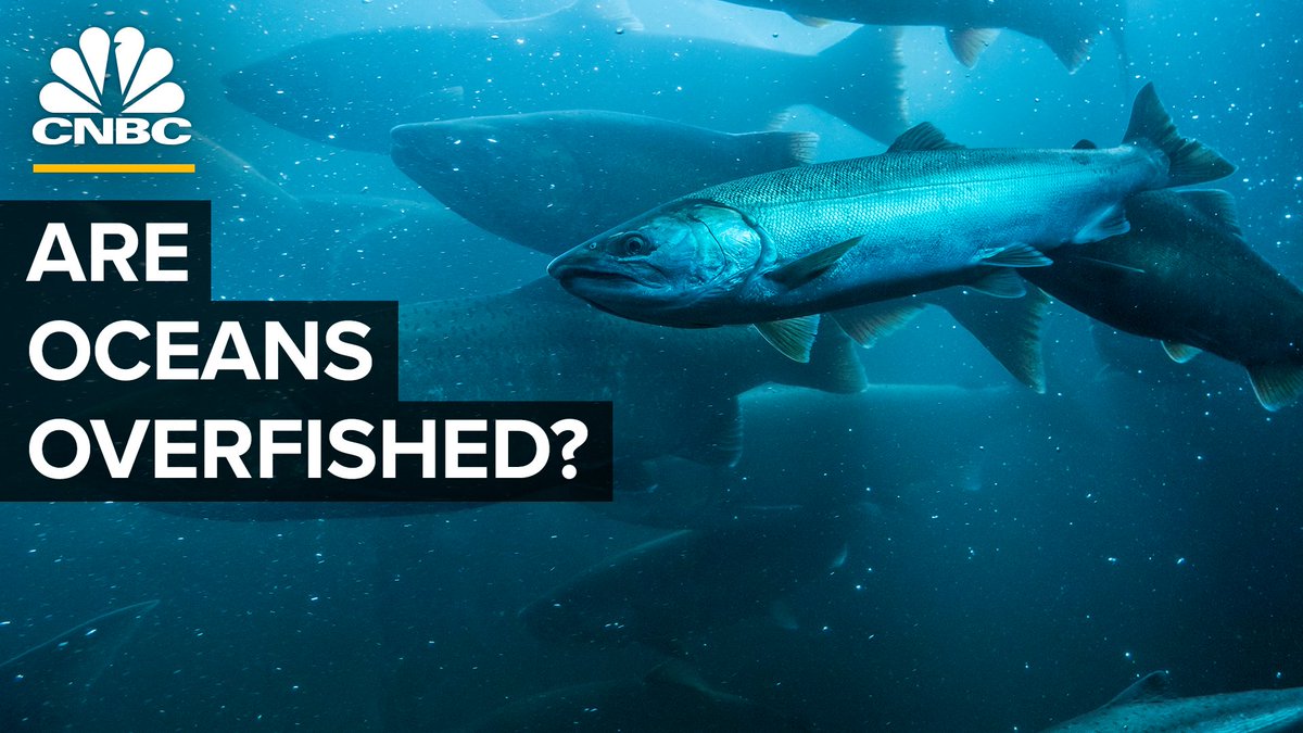 CNBC on Twitter "Are the oceans overfished? Learn why the U.S. is not harvesting as many fish
