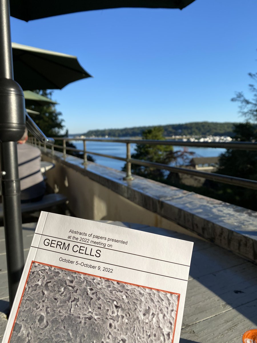 AnkeKloock's tweet photo. What a beautiful spot for breakfast! #CSHLgermcells https://t.co/Y6BDskuYKG