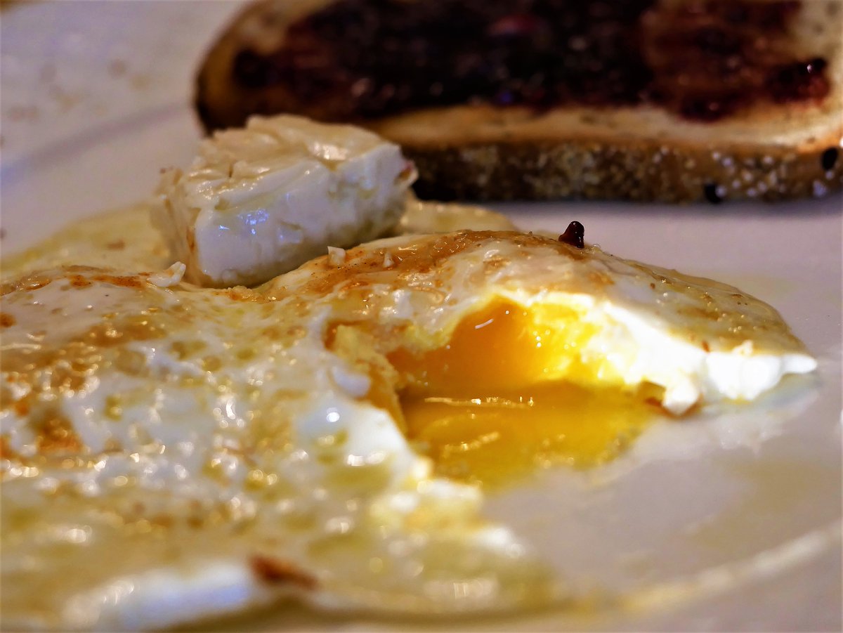 unixwhisperer's tweet image. 'The morning light when it's in your plate really shows your eggs...' 🎶#italianbread #laughingcow #overcooked #playingwithcamera