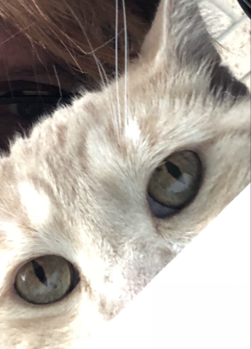 Watching you, watching me, watching you ❤️