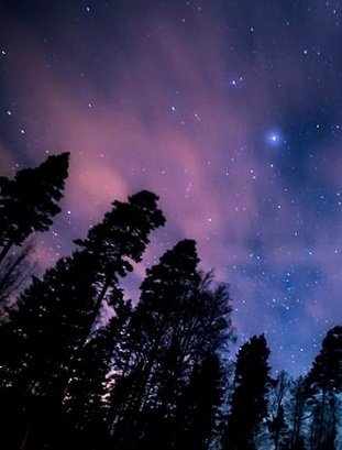 _DiosaMeg's tweet photo. #FelizJueves ✨⭐️🌙⭐️✨

No te sientas solx;
tienes música
y el cielo lleno de estrellas
que cada noche te acompañan. https://t.co/ByMsBVzRAz