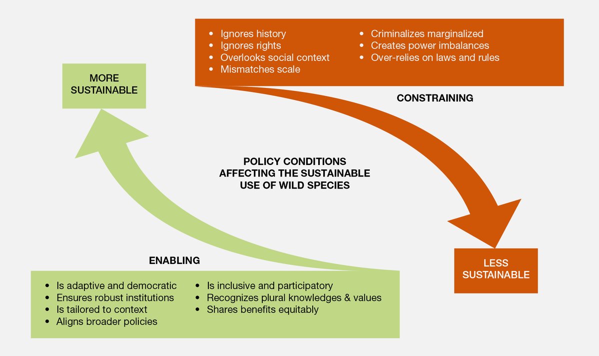 ipbes (@ipbes) on Twitter photo Discover how policies around the globe can enable or constrain the #SustainableUse of wild species by taking a peek at this infographic.⬇️
... or by reading the @ipbes #SustainableUse Assessment - FULL report out now. 🌲🐆
🔗ipbes.net/sustainable-us… Discover how policies around the globe can enable or constrain the #SustainableUse of wild species by taking a peek at this infographic.⬇️
... or by reading the @ipbes #SustainableUse Assessment - FULL report out now. 🌲🐆
🔗ipbes.net/sustainable-us…
