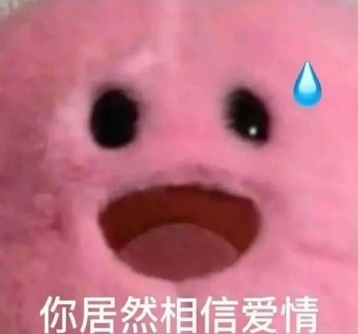 cacodemon828's tweet image. 妈的江浙沪没见过四爱
全是四川东北广东
要孤寡一辈子了😭😭😭😭😭