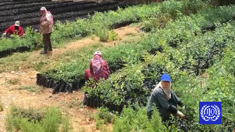 The @ILO and #Germany’s KfW Development Bank signed a new phase of the Employment Intensive Investment Programme (EIIP) in #Jordan with a budget of €18 mil, to provide short-term jobs for Jordanians &amp; Syrian refugees, focusing on #GreenJobs.