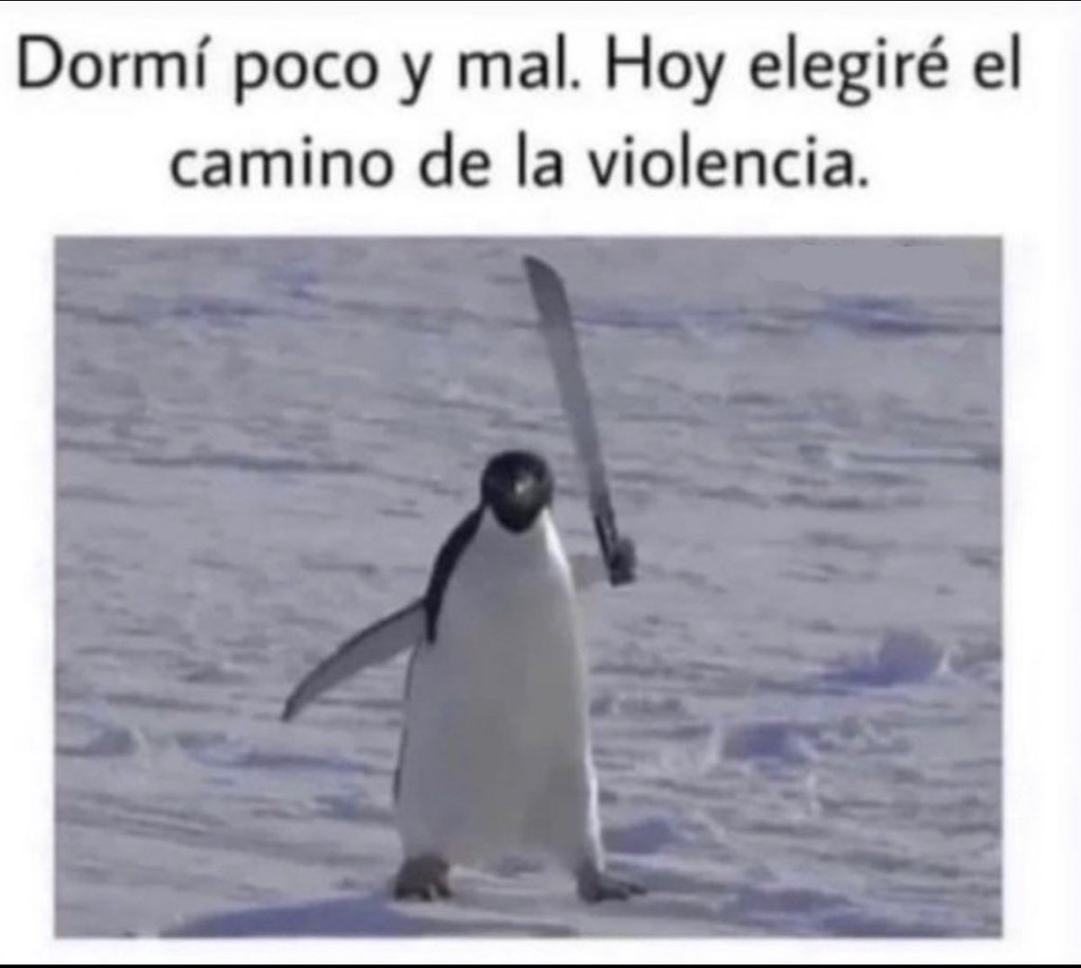 cejaspobladas's tweet photo. Como quieran quiero. https://t.co/BZHiqVOeVB