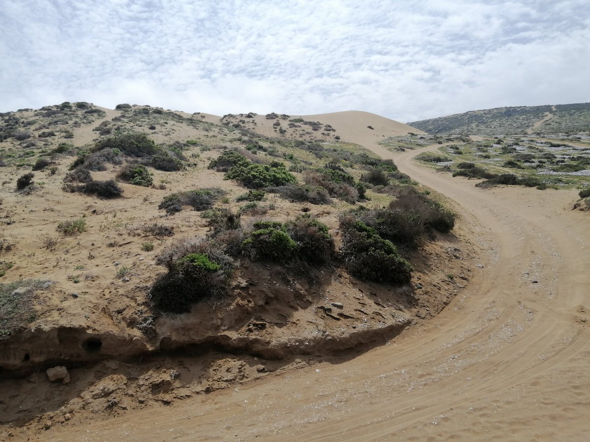 ca2cfk's tweet photo. DESIERTO FLORIDO.. POR FAVOR CUIDAR https://t.co/O3X6HsczWX
