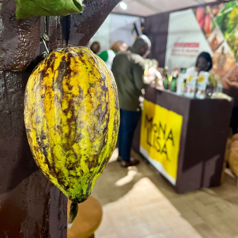 NLAgri_CdI_SEN's tweet image. #localprocessing #CotedIvoire This week we marked the National Cocoa &amp;amp; Chocolate Days with discussions focused on increasing in-country #processing of cocoa: a🔑ambition for the coming years. #opportunities  #NLbusinesses to step in with knowledge/technologies/local investments.