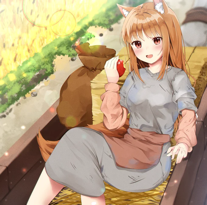 狼と香辛料のホロちゃん、依頼のイラスト。#狼と香辛料 #ホロ 