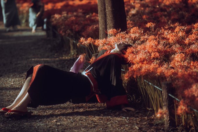 コスプレイヤーあおぴのTwitter画像18