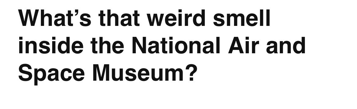 🌸 Chelsea Cirruzzo tweet media