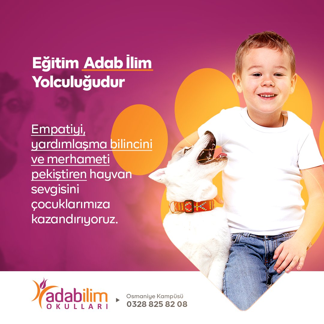 adabilimosmanye's tweet photo. Bir arada yaşadığımız sevimli dostalarımıza karşı da sevgiyle yaklaşıyoruz. Empatiyi, yardımlaşma bilincini ve merhameti pekiştiren hayvan sevgisini çocuklarımıza kazandırıyoruz.

#eğitimadabilimyolculuğudur #osmaniye https://t.co/254CY9ySPw