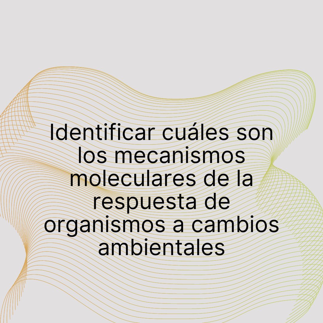 Instituto Milenio de Biología Integrativa 🌱 tweet media